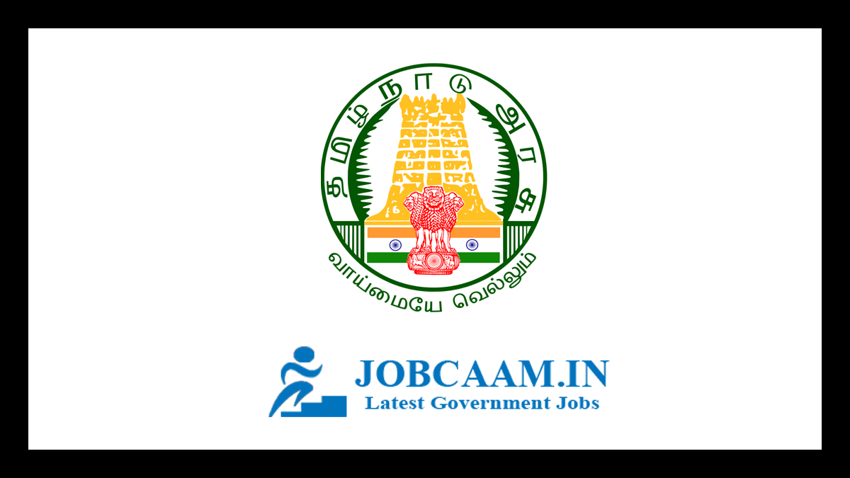 TN Economics and Statistics Department Recruitment 2021